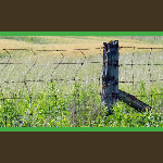 brown wigg sale vic