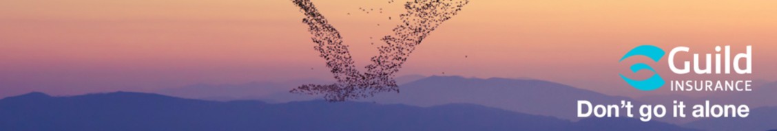 profile-banner