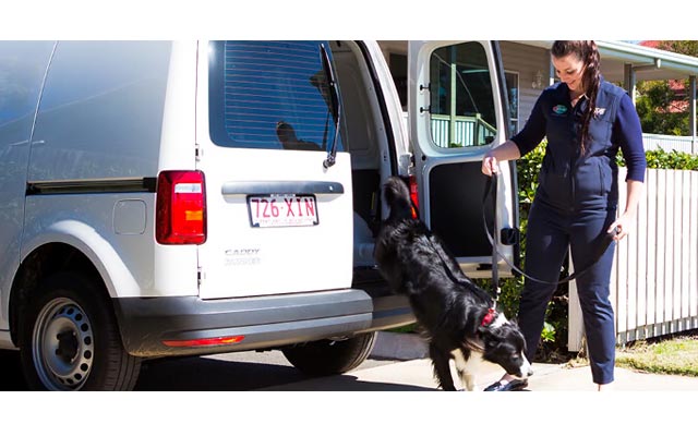 warwick veterinary clinic