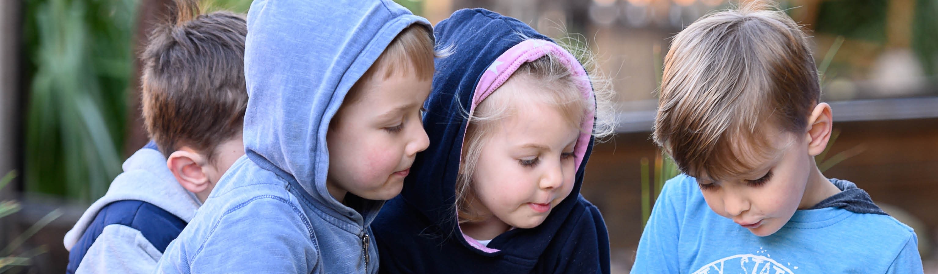 profile-banner