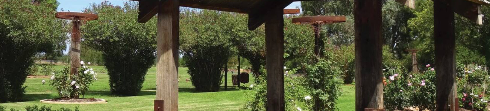 profile-banner